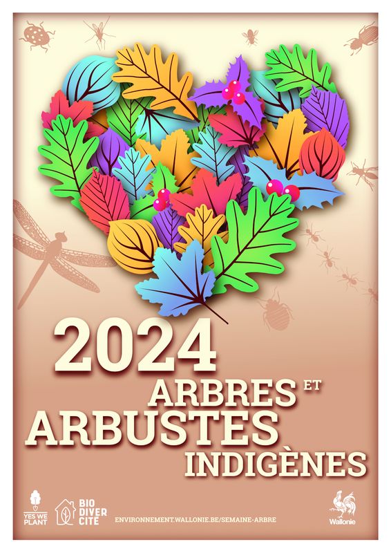 Affiche / Poster. Année des Arbres et arbustes indigènes [2024] (papier)