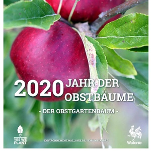 Affiche / Poster. Jahr der obstbaüme - der obstgartenbaüme [2020] (numérique)