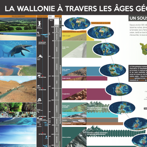 Affiche / Poster. La Wallonie à travers les âges géologiques [2021] (numérique)