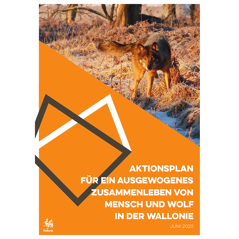 Aktionsplan für ein ausgewogenes Zusammenleben von Mensch und Wolf in der Wallonie (numérique)