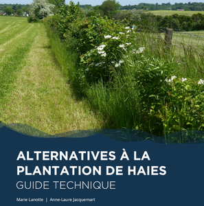 Alternatives à la plantation des haies. Guide technique [2024] (numérique)