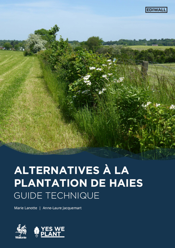 Alternatives à la plantation des haies. Guide technique [2024] (numérique)