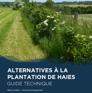 Alternatives durables à la plantation des haies. Guide pratique [2024] (papier)