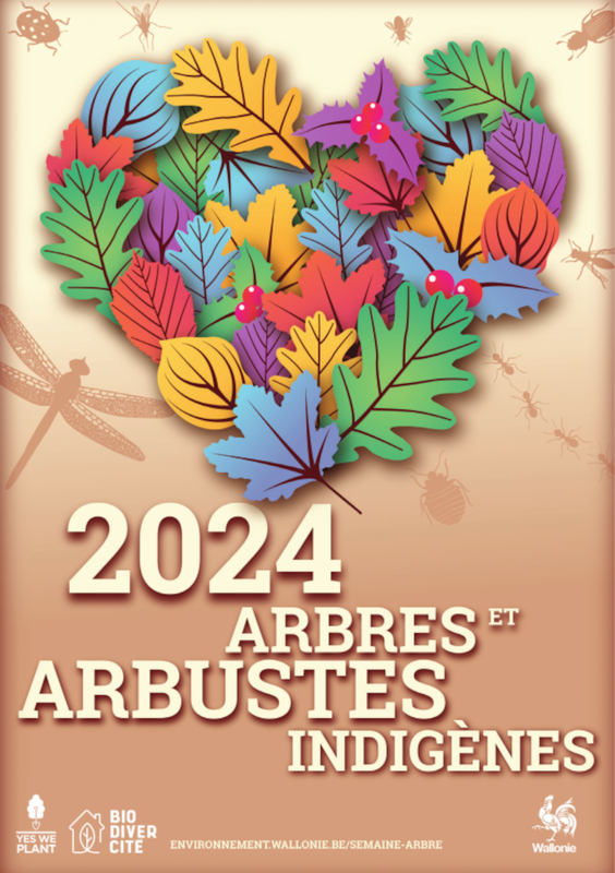 Année des Arbres et arbustes indigènes [2024] (numérique)