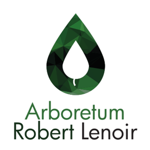 Carte de l'Arboretum Robert Lenoir. NL [2021] (numérique)