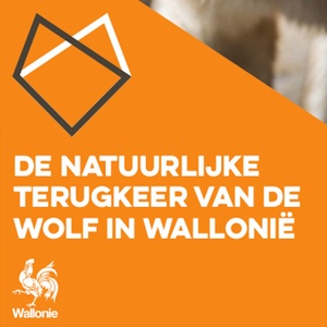 De natuurlijke terugkeer van de wolf in Wallonië [2022] (papier)