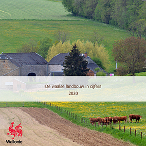 De waalse landbouw in cijfers [2020] (numérique)