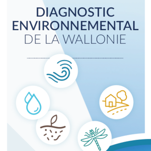 Dépliant Diagnostic Environnemental de la Wallonie [2024] (numérique)