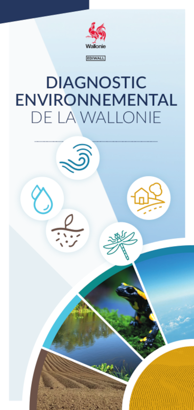 Dépliant Diagnostic Environnemental de la Wallonie [2024] (numérique)