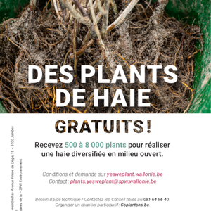 Des plants de haie gratuits ! [2024] (numérique)