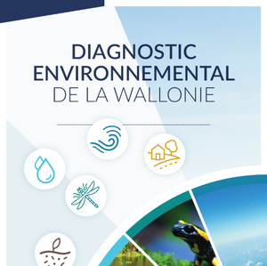 Diagnostic Environnemental de la Wallonie [2024] (numérique)