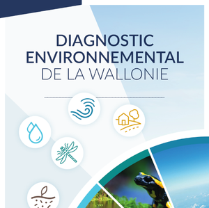 Diagnostic Environnemental de la Wallonie [2024] (papier)