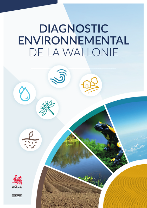 Diagnostic Environnemental de la Wallonie [2024] (papier)