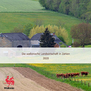 Die wallonische Landwirtschaft in Zahlen [2020] (numérique)