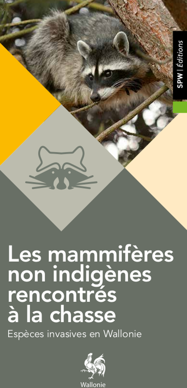 Espèces invasives en Wallonie. Les mammifères non indigènes rencontrés à la chasse [2016] (numérique)