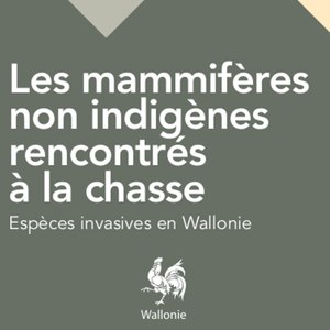 Espèces invasives en Wallonie. Les mammifères non indigènes rencontrés à la chasse [2016] (papier)
