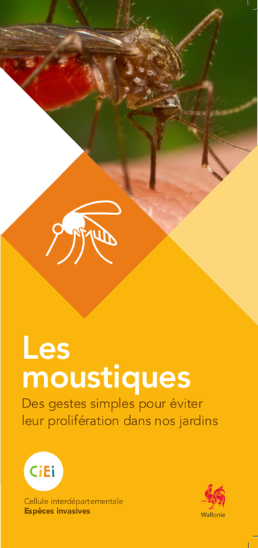 Espèces invasives en Wallonie. Les moustiques. Des gestes simples pour éviter leur prolifération dans nos jardins [2016] (numérique)