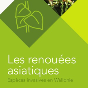 Espèces invasives en Wallonie. Les renouées asiatiques [2021] (papier)