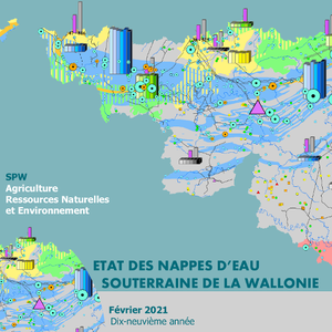 État des nappes d'eau souterraine de la Wallonie [Février 2021]. Dix-neuvième année (numérique)