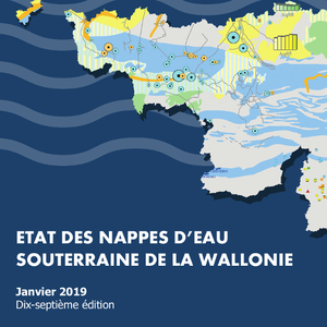 État des nappes d'eau souterraine en Wallonie [Janvier 2019]. Dix-septième édition (numérique)