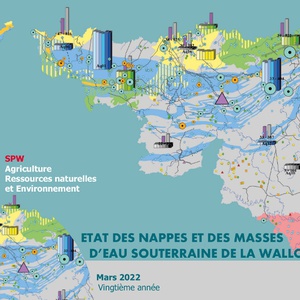 État des nappes et des masses d'eau souterraine de la Wallonie [Mars 2022]. Vingtième année (numérique)