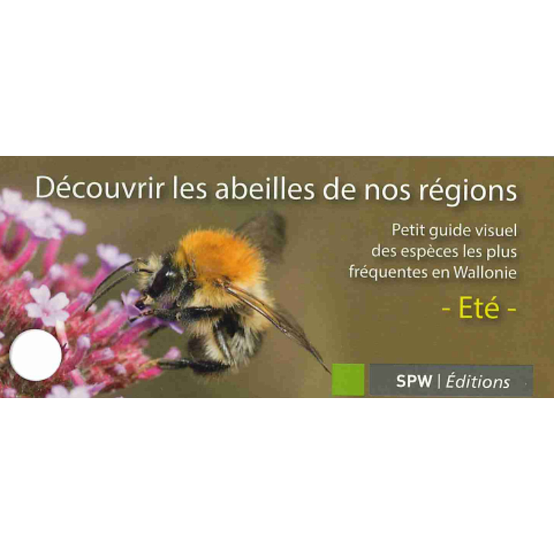 Éventail environnement / Clé visuelle. Découvrir les abeilles de nos régions. Petit guide des espèces les plus fréquentes en Wallonie - Été [2020] (papier-numérique)