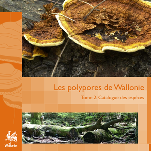 Faune - Flore - Habitats № 10. Les polypores de Wallonie. Tome II. Catalogue des espèces (papier)