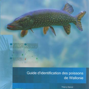Faune - Flore - Habitats № 06. Guide d'identification des poissons de Wallonie [2011] (papier)
