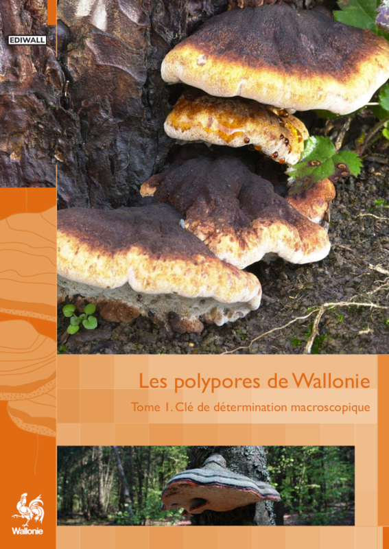 Faune - Flore - Habitats № 10. Les polypores de Wallonie. Tome I. Clé de détermination macroscopique [2021] (papier)