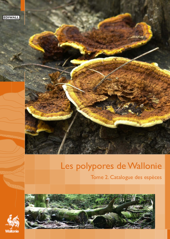 Faune - Flore - Habitats № 10. Les polypores de Wallonie. Tome II. Catalogue des espèces [2021] (papier)