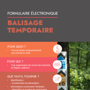 Formulaire électronique. Balisage temporaire [2023] (numérique)