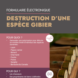 Formulaire électronique. Destruction d'une espèce de gibier [2023] (numérique)