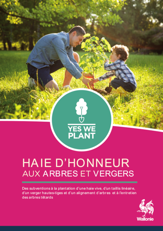 Haie d'honneur aux arbres et vergers. Des subventions à la plantation d’une haie vive, d’un taillis linéaire, d’un verger hautes-tiges et d’un alignement d’arbres et à l’entretien des arbres têtards [2023] (papier)