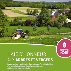 Haie d'honneur aux arbres et vergers. Des subventions à la plantation d’une haie vive, d’un taillis linéaire, d’un verger hautes-tiges et d’un alignement d’arbres et à l’entretien des arbres têtards [2024] (numérique)