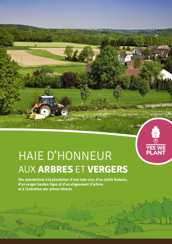 Haie d'honneur aux arbres et vergers. Des subventions à la plantation d’une haie vive, d’un taillis linéaire, d’un verger hautes-tiges et d’un alignement d’arbres et à l’entretien des arbres têtards [2024] (numérique)