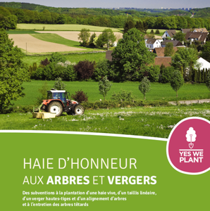 Haie d'honneur aux arbres et vergers. Des subventions à la plantation d’une haie vive, d’un taillis linéaire, d’un verger hautes-tiges et d’un alignement d’arbres et à l’entretien des arbres têtards [2024] (papier)