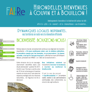 Hirondelles Bienvenues à Couvin et à Bouillon ! Aménagements favorables à la biodiversité autour du bâti :  offrir le « gîte », le « couvert » et la « bienveillance » aux hirondelles… (numérique)