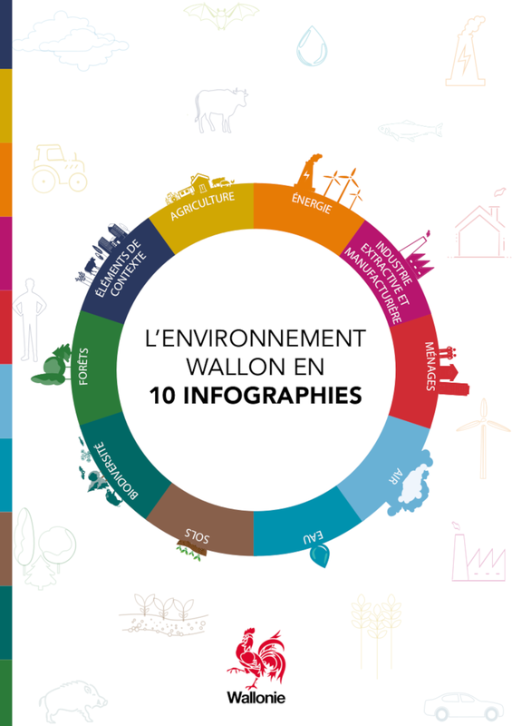 L' environnement wallon en 10 infographies [2021] (numérique)