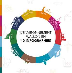 L'environnement wallon en 10 infographies (numérique)