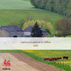 L’agriculture wallonne en chiffres [2020] (numérique)