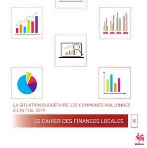 Le cahier des finances locales N° 08. La situation budgétaire des communes wallonnes à l'initial 2019 [2019] (numérique)