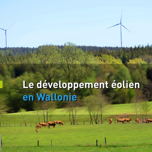 Le développement éolien en Wallonie [2022] (numérique)