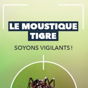 Le moustique tigre. Soyons vigilants ! [2024] (papier)