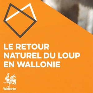 Le retour naturel du loup en Wallonie [2022] (papier)