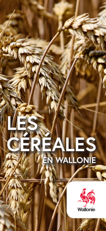 Les céréales en Wallonie [2023] (numérique)