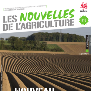 Les Nouvelles de l'Agriculture № 10 (2e semestre 2019). Nouveau bail à ferme, nouveaux équilibres (numérique)