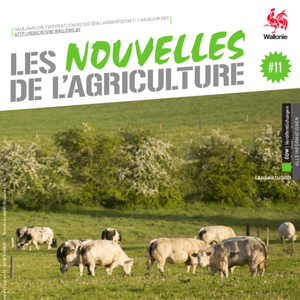 Les Nouvelles de l'Agriculture № 11 (1. Halbjahr 2020). Rindfleisch im Fokus (numérique)