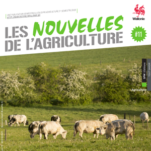 Les Nouvelles de l'Agriculture № 11 (1e semestre 2020). Focus sur la viande bovine (numérique)