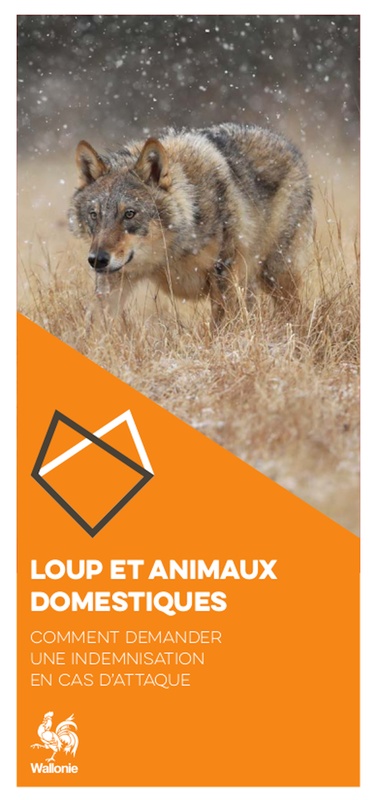 Loup et animaux domestiques [2023] (papier)