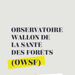 Observatoire wallon de la santé des forêt (OWSF) [2022] (numérique)